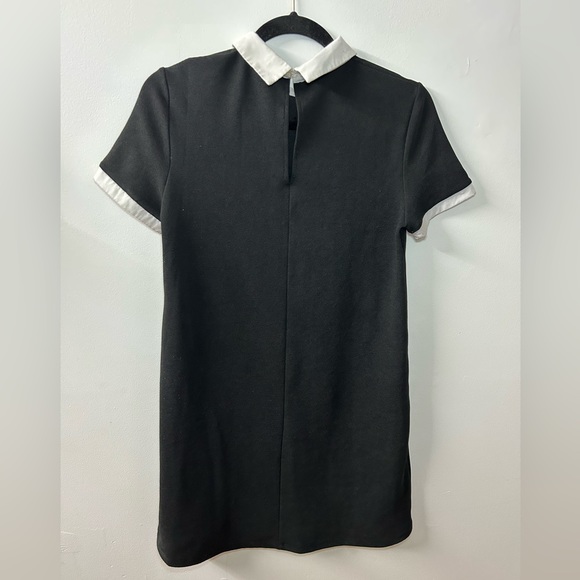 Zara Black Dress with white collar - Picture 3 of 3